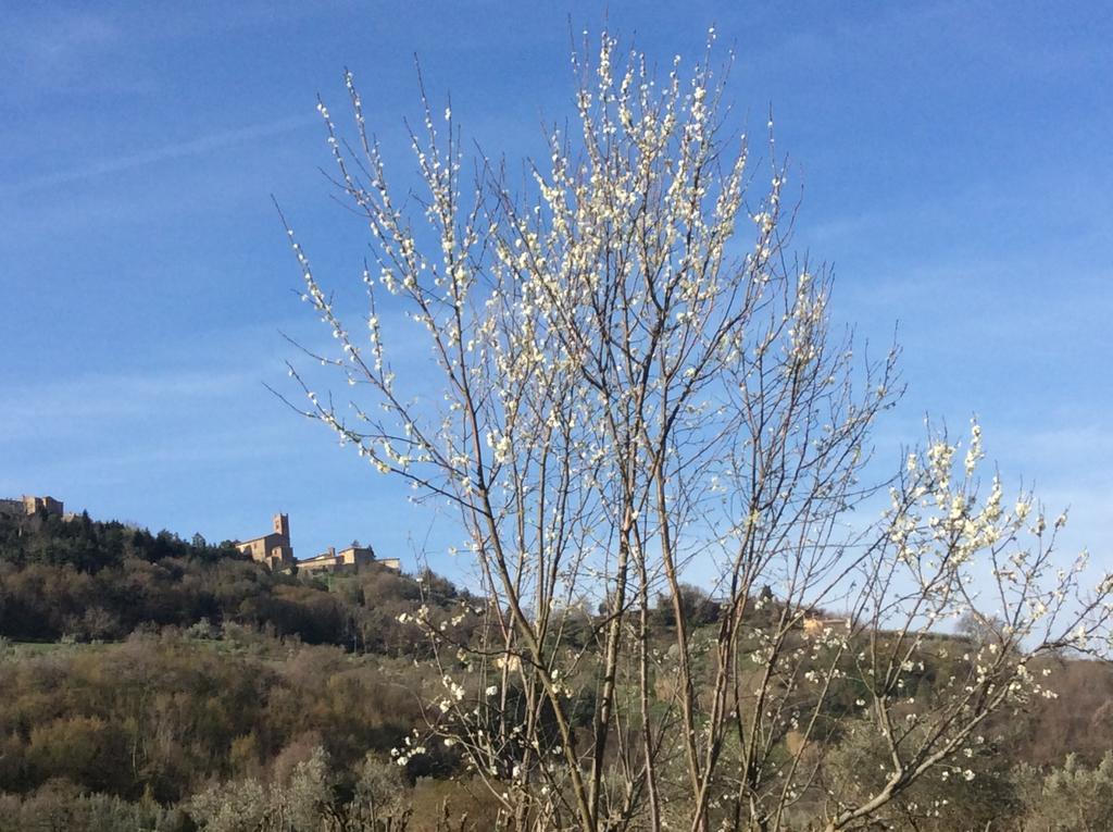 Agriturismo Le Canterie Radicondoli Екстериор снимка