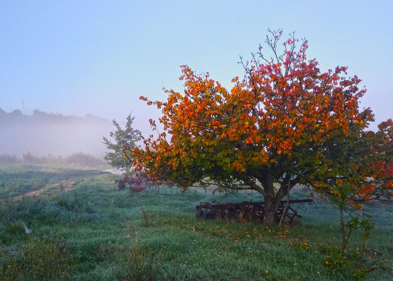 Agriturismo Le Canterie Radicondoli Екстериор снимка