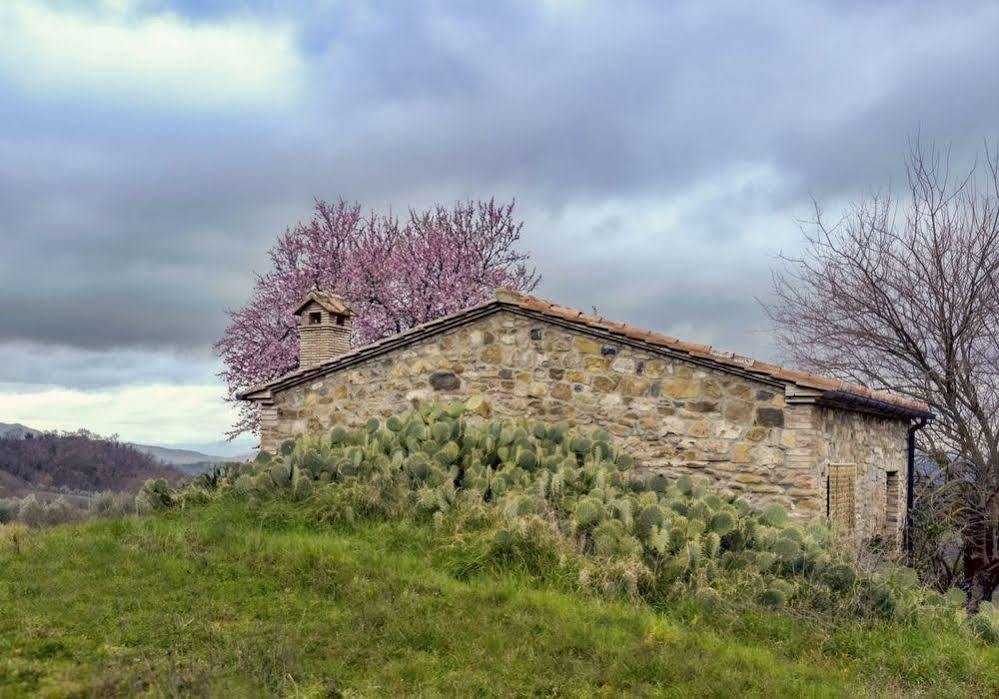 Agriturismo Le Canterie Radicondoli Екстериор снимка